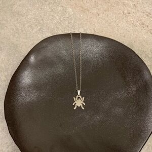 Rogue Moon Stainless Steel Spider Necklace